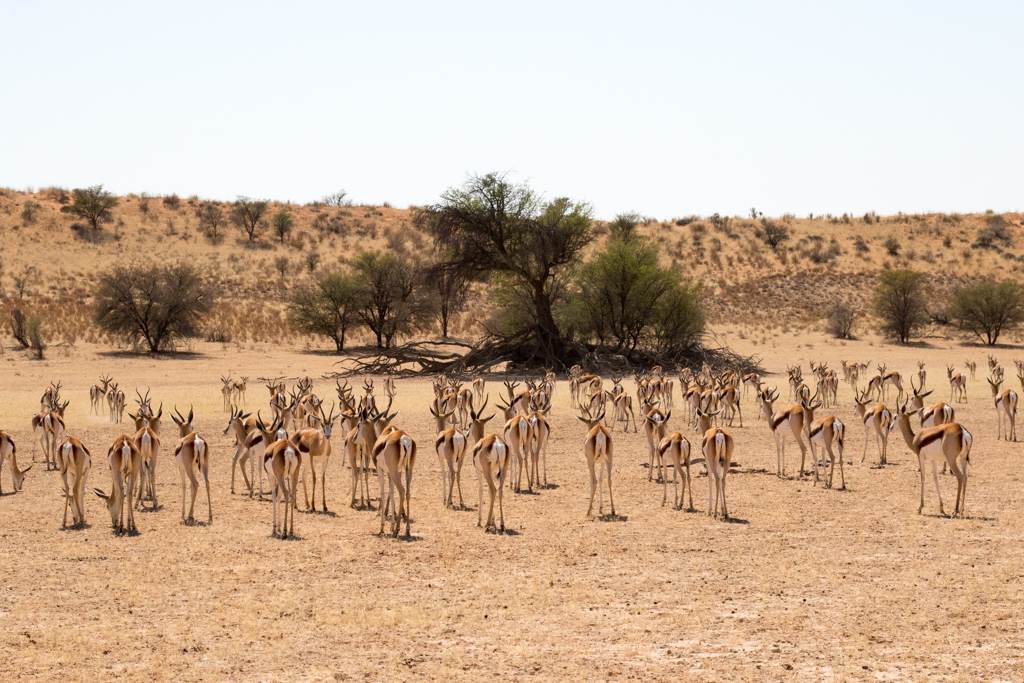 _7d_6736